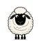 Little white cheerful and smiling sheep. Little baby sheep.
