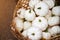 The little white pumpkins are in the basket. Farm harvest.