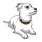 Little white puppy lies and looks up. Vector Illustration on a white background