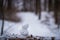 Little white snowman on a chunk of wood with autumn forest background