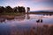 Little wild pond at sunset