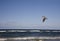 Little wild seagull flying against the rough Baltic Sea in Poland on a sunny day