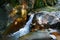 Little wondrous waterfall among the rocks in mountain forest