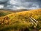 A little wooden foot bridge  over the moors