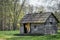 Little Wooden House in the Woods with Open Door