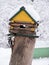 Little Woodpecker sitting around feeders in the form of a wooden house and keeps the grain in its beak