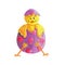 Little yellow chick hatching in violet with pink easter egg. Happy easter holiday