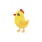 Little yellow chicken with red beak and scallop. Cartoon character of farm bird. Domestic animal. Concept of poultry