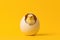 little yellow chicken in the shell on a yellow background.copy space