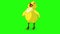 Little yellow chicken tweets chroma key