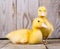 Little yellow duckling