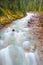 Little Yoho River Rapids Canada