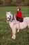 Little young girl in dress sitting on a pony riding Lady
