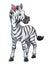 Little Zebra Cartoon Animal Illustration