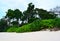 Littoral Forest, Tall Sea Mohua Trees and Coastal Plantation on White Sandy Beach - Laxmanpur, Neil Island, Andaman, India