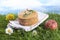 Livarot French cheese on grass and blue sky background