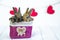 Live Bunny to a basket with a red heart. Card with an animal on Valentine`s day. Cute little hare on a white background