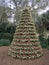 Live Christmas Tree in Bok Tower Gardens