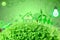 Live green Think green Love green go green concept abstract nature in green background
