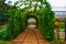 Live green tunnel made from with plants