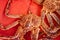 Live Japanese king crabs or Taraba at Hakodate Asaichi fish market