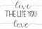 `Live The Life You Love` hand lettering phrase to motivate people to do what they love
