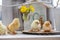 Live little chickens on a wooden table