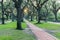 Live oak tree tunnel canopy in Houston, Texas, USA at sunrise