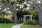 Live Oaks leading up to Beachview Club, Jekyll Island,Georgia,2015