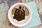Live turtle in a white plate with water and bay leaf on the table. Imitation of tortoise soup. Animal protection concept.