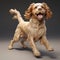Lively 3d Model Of Ruane Cocker Spaniel With Realistic Detailing