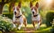 A lively and adorable Basenji dog is happily running in the garden!