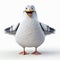 Lively Cartoon Seagull Illustration In Gigantic Scale