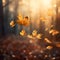 Lively closeup of falling autumn leaves with vibrant backlight from the setting sun, golden hour. Flying autumn leaves on forest