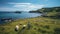 Lively Coastal Landscapes: A Man Walking Among Sheep In Spectacular Backdrops