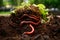 Lively earthworms work in fertile soil, integral for composting and natural soil health, amidst vibrant greenery