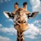 Lively Giraffe In Blue Sky With Expressive Facial Features
