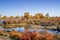 Lively Golden Populus in autumn