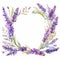 Lively Lavender Wreath Watercolor Illustration With Elaborate Borders