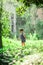 A lively little boy in blue overalls stands among the bushes in the park