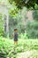 A lively little boy in blue overalls stands among the bushes in the park