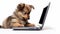 Lively Puppy On Laptop: A Technocore Style With Clear Edge Definition