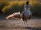 The lively stance of a roadrunner as it stands on desert terrain