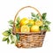 Lively Watercolor Illustration Of Lemons In A Picnic Basket