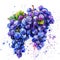 A lively watercolor representation of a grape cluster, with droplets