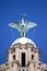 Liver Bird Perched on the Royal Liver Building