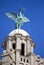 Liver Bird Perched on the Royal Liver Building