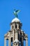 The Liver Bird and Tower, Liverpool.