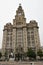 The Liver Building is a Grade I listed building in Liverpool, England located at the Pier Head
