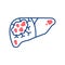 Liver cancer line color icon. Human organ concept. Malignant neoplasm. Sign for web page, mobile app, button, logo. Vector